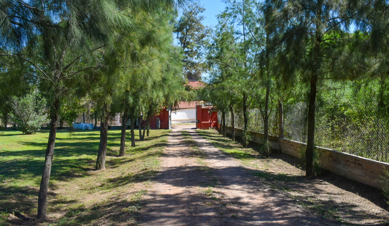 Agus Finca (150)