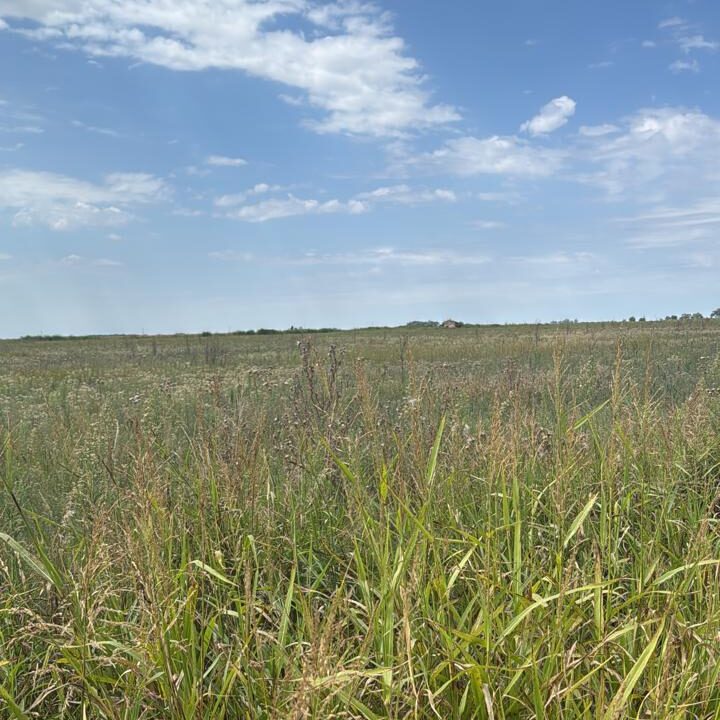 WhatsApp Image 2026-02-24 at 09.25.09