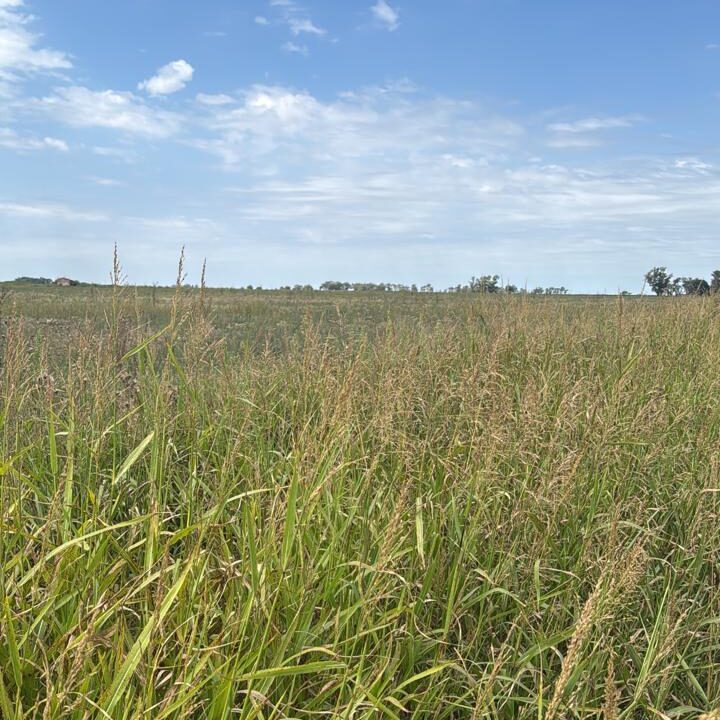 WhatsApp Image 2026-02-24 at 09.25.10 (1)