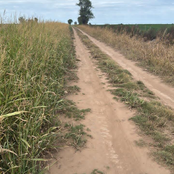 WhatsApp Image 2026-02-24 at 09.25.10