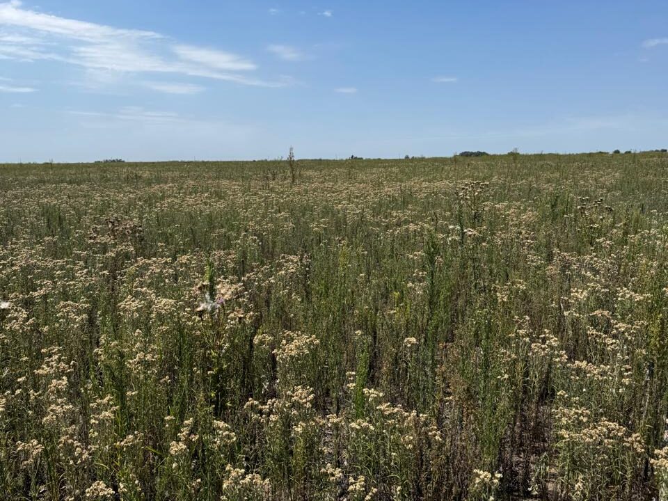 WhatsApp Image 2026-02-24 at 09.25.11