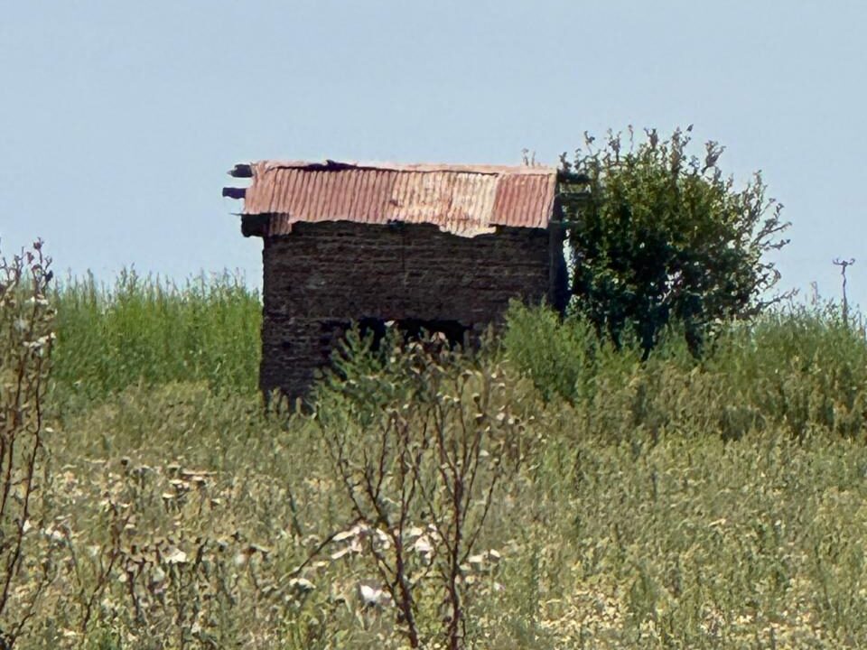 WhatsApp Image 2026-02-24 at 09.25.13