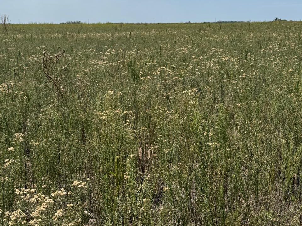 WhatsApp Image 2026-02-24 at 09.25.14